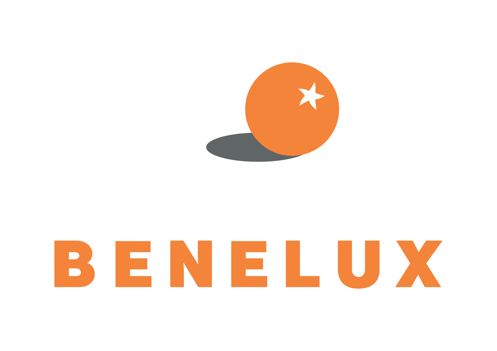Logo Benelux Flowers & Food Pte Ltd
