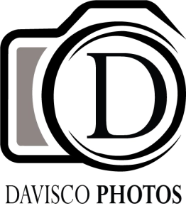 Logo Davisco Photos