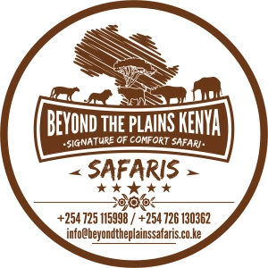 Logo Beyond the plains Kenya safaris