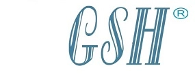 Logo GSH Precision Technology Sdn Bhd