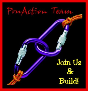empresa PruAction Team (M) Sdn. Bhd.