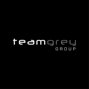 Logo Team Grey Group