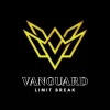 Logo VANGUARD FT SDN.BHD