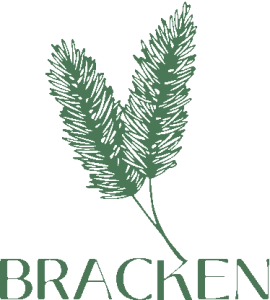 Logo Bracken Media Solutions