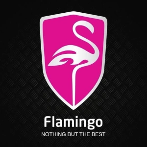 Logo Flamingo Car Tech Limited