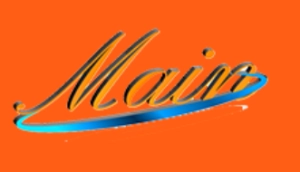 Logo Main Service Logistics