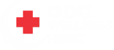 ODG WELLNESS HOME Logo