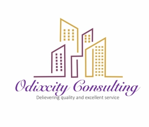 Logo Odixcity Consulting