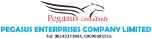 Logo PEGASUS ENTERPRISE COMPANY LIMITED