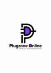 Logo Plugzone online