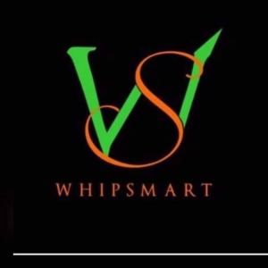 Logo Whip-smart Service Providers Limited