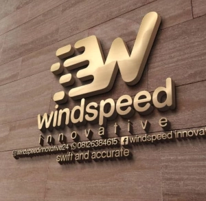 Logo WindSpeed Innovative
