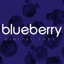 Logo Blueberry Digital Labs PH