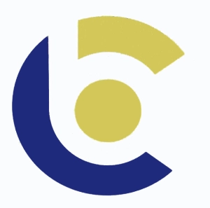 Logo Bluechip Business Solutions, Inc.