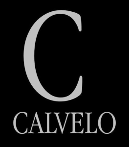 Logo Calvelo.Engineered. Services Corporation