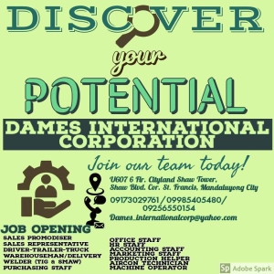 Logo Dames International Corp.