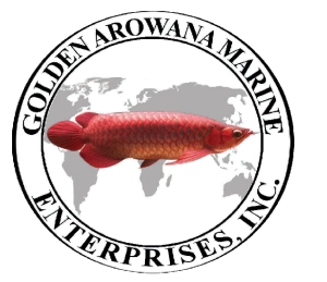 Logo Golden Arowana Marine Enterprises Inc