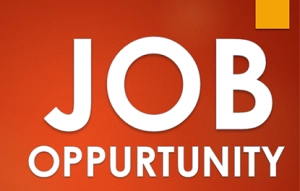 JOB OPS Logo