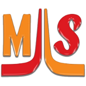 Logo MJLS ENTERPRISES OPC