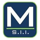 Logo Maximus Structural Innovations, Inc.
