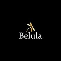 Logo Natilia LLC (Belula Care)