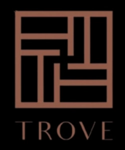 Logo THE TROVE LIFE CORP