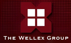 Logo The Wellex Group, Inc.