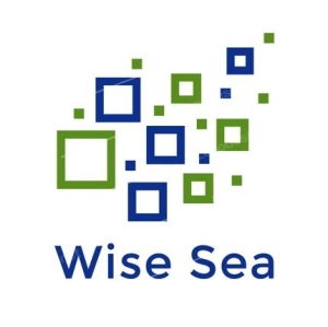 Logo Wise Sea IT Consulting Solution OPc