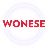 Logo Wonese- Executive Search Company