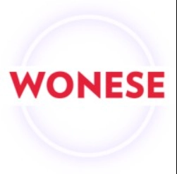 World Networking Services (Wonese) Logo