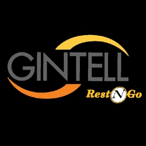 Logo Https://gintell.com/