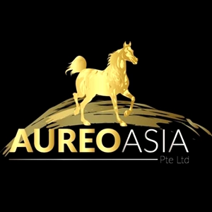 Logo Aureo Asia Pte Ltd