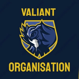 Logo Valiant Advance Marketing