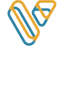 empresa Vision Organisation