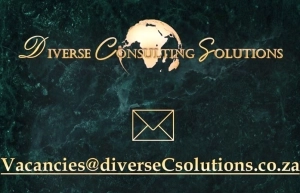 Logo Diverse Consulting Solutions