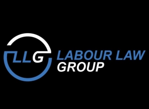 Logo Labour Law group